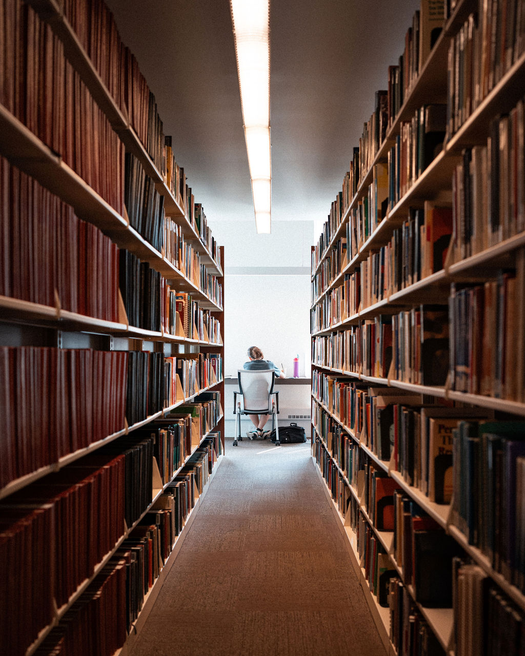 Étagères de la bibliothèque du campus de Chicago de l'université Adler.